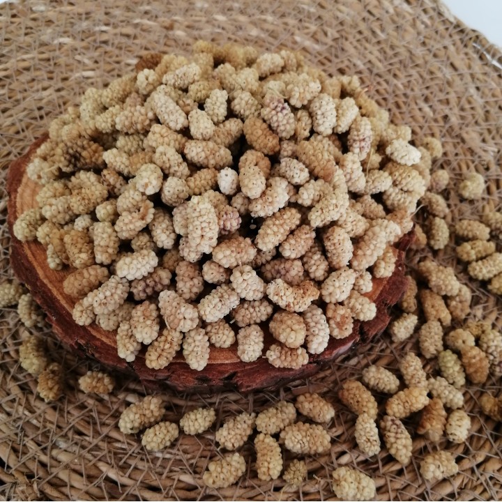 Dut Kurusu (Elazığ)